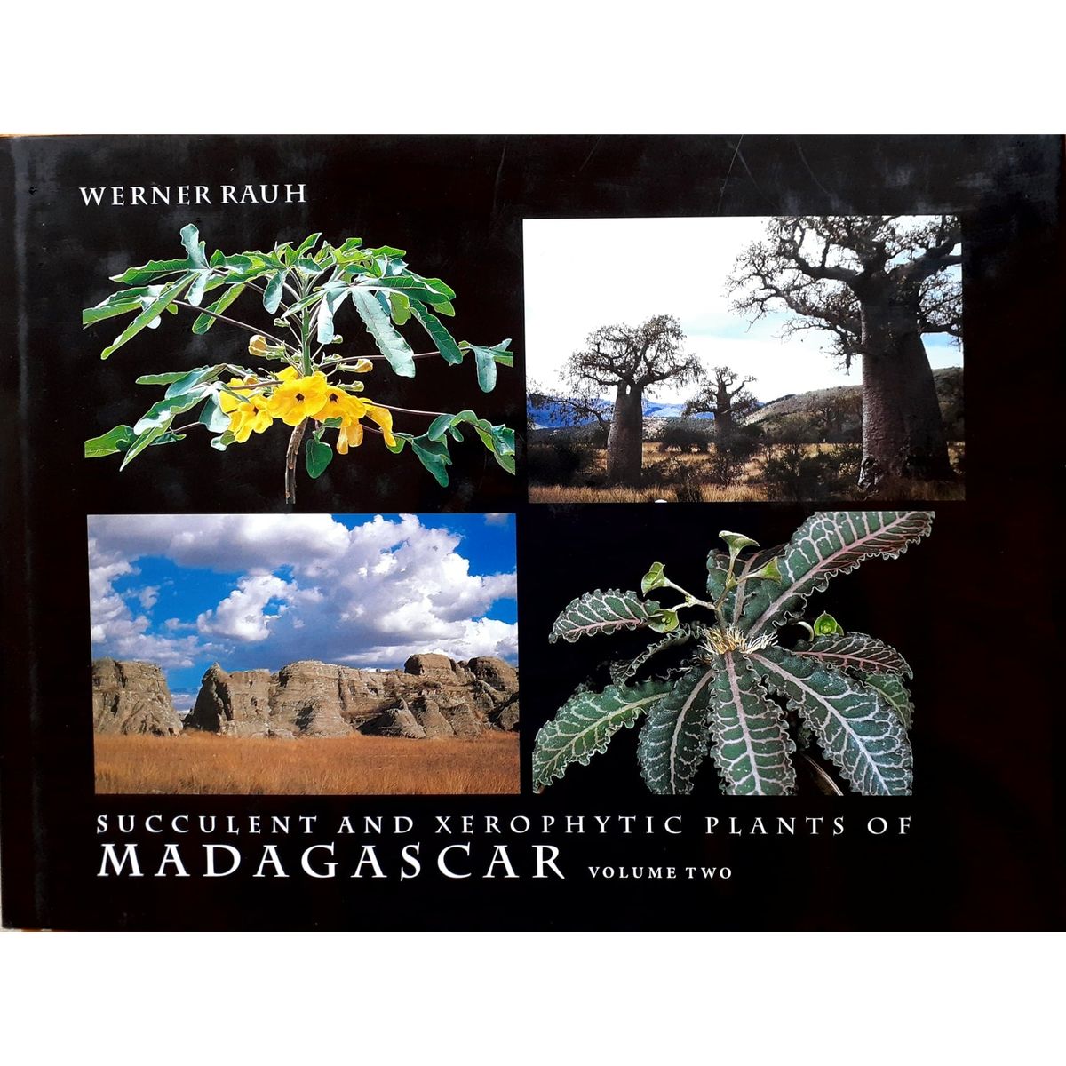 succulent and xerophytic plants of madagascar Succulent and Xerophytic Plants of Madagascar, Vol.2 by Werner Rauh
