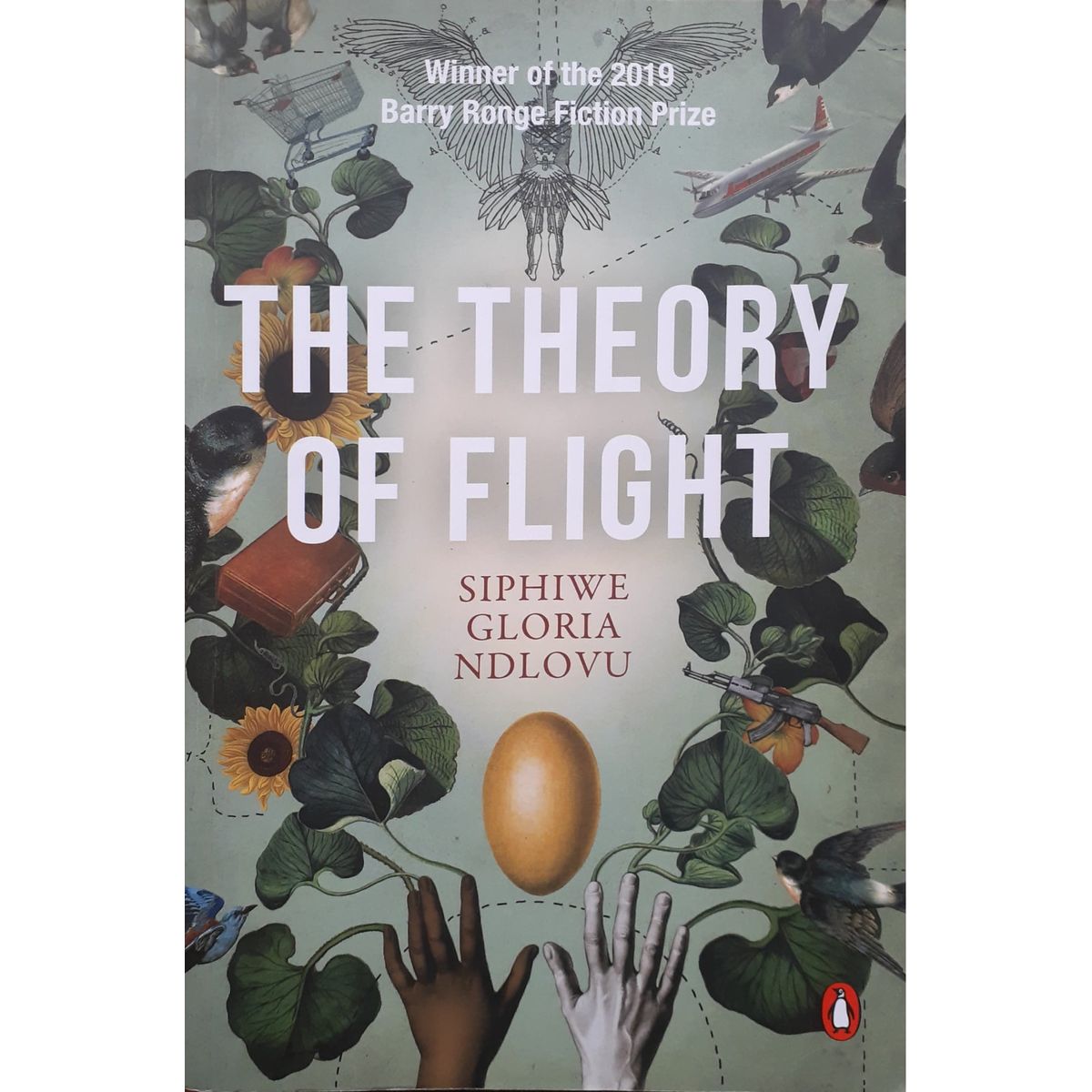 The Theory of Flight | Siphiwe Gloria Ndlovu [Book] – Fact and Fiction