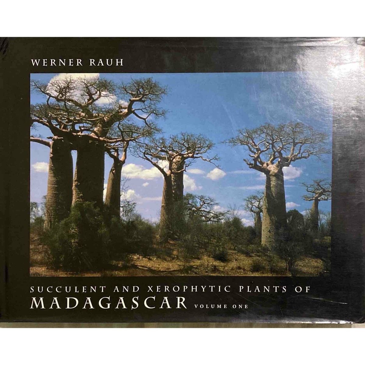 succulent and xerophytic plants of madagascar Succulent and Xerophytic Plants of Madagascar: Vol.1 by Werner Rauh