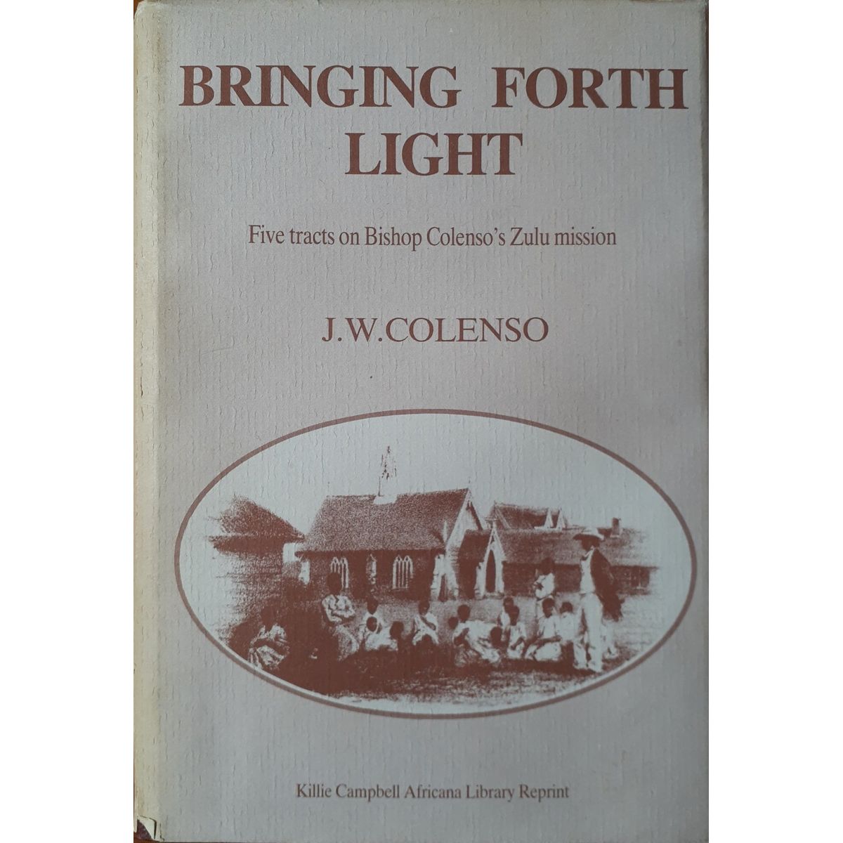 ISBN: 9780869802830 / 0869802836 - Bringing Forth Light by J.W. Colenso, edited by Ruth Edgecombe [1982]