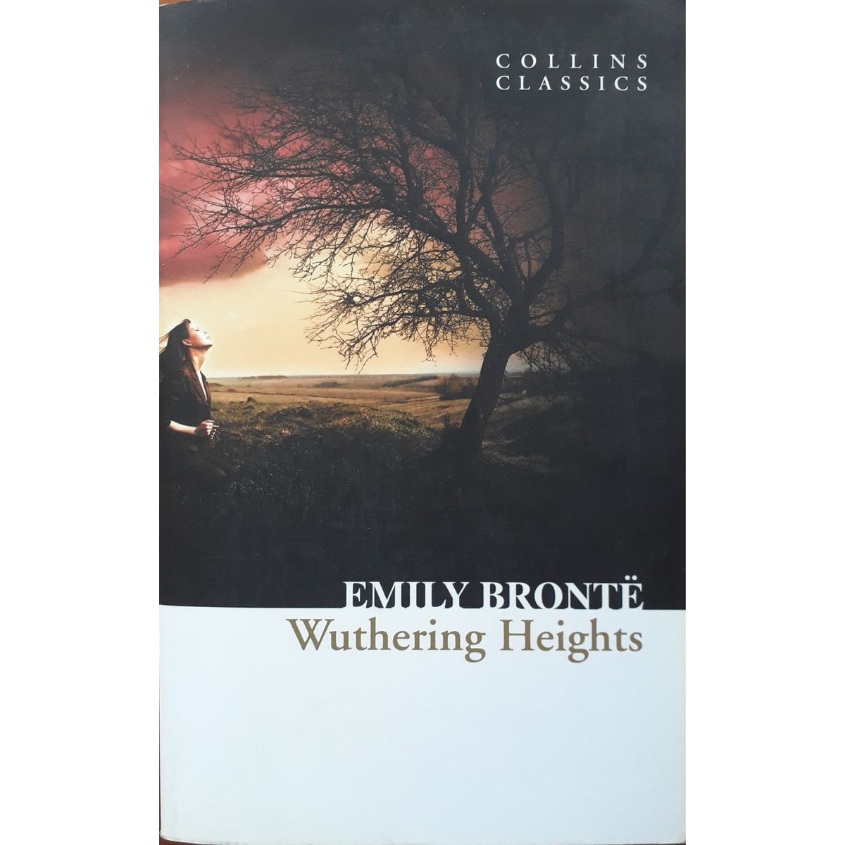 ISBN: 9780007350810 / 0007350813 - Wuthering Heights by Emily Brontë [2010]