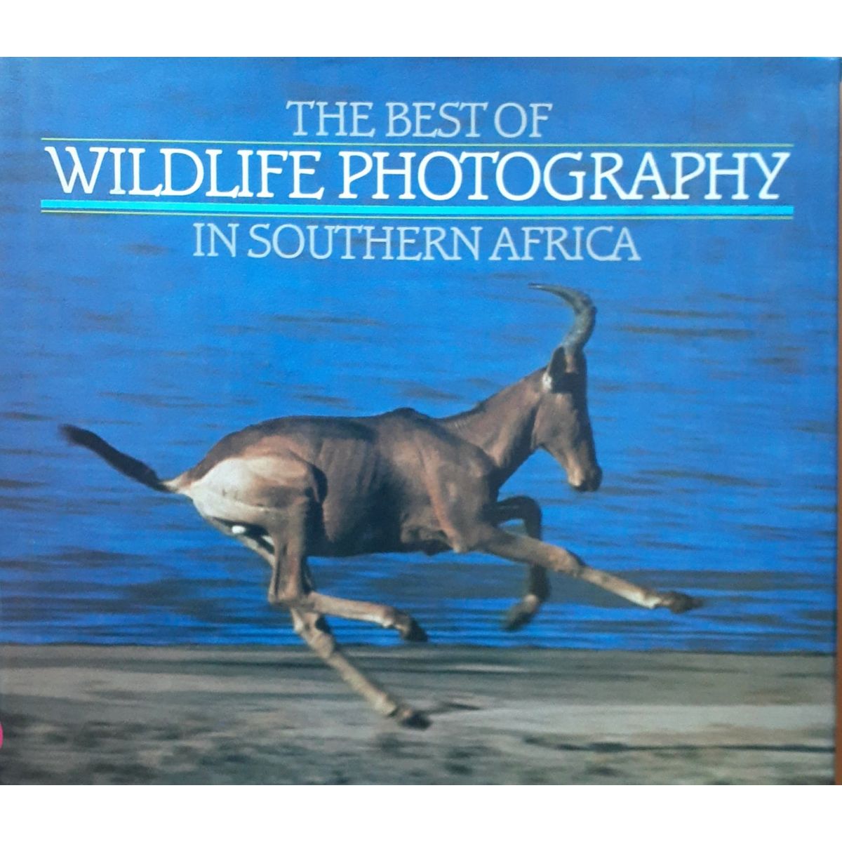ISBN: 9780620084109 / 0620084103 - The Best of Wildlife Photography in Southern Africa by Peter Joyce [1988]