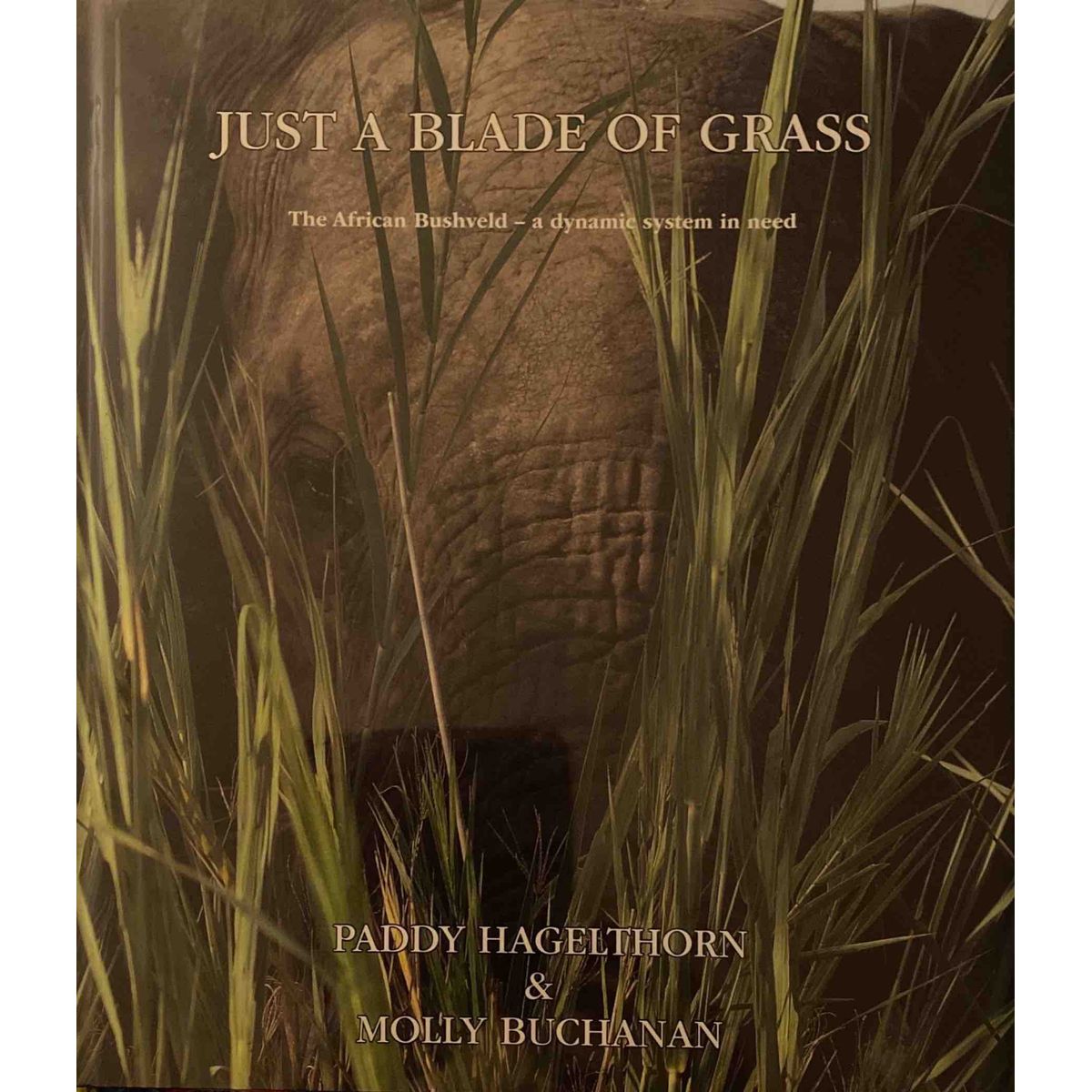 ISBN: 9780620768290 / 0620768290 - Just a Blade of Grass: The African Bushveld - A Dynamic System in Need by Paddy Hagelthorn & Molly Buchanan [2018]