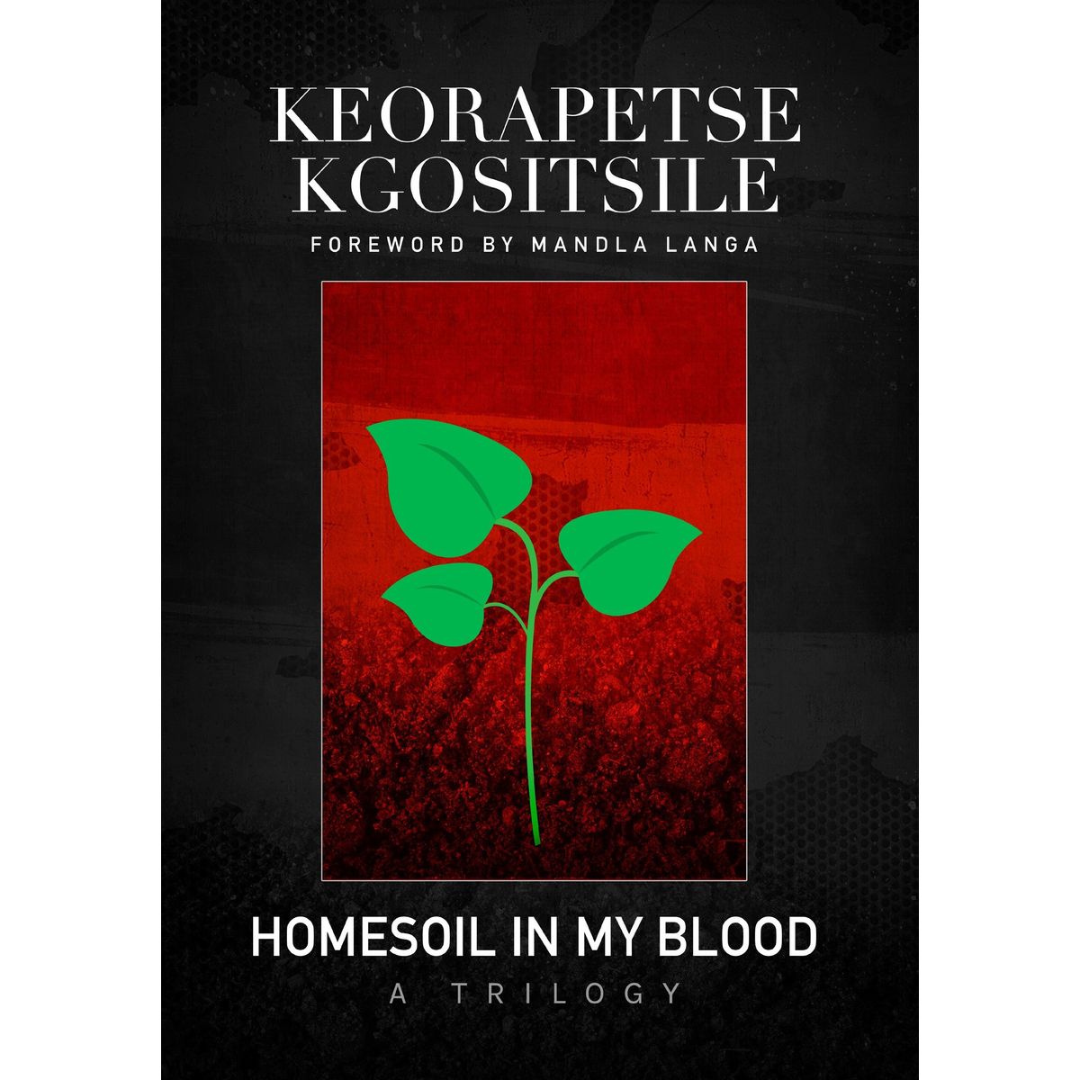 ISBN: 9780620779791 / 0620779799 - Homesoil in My Blood: A Trilogy by Keorapetse Kgositsile [2017]