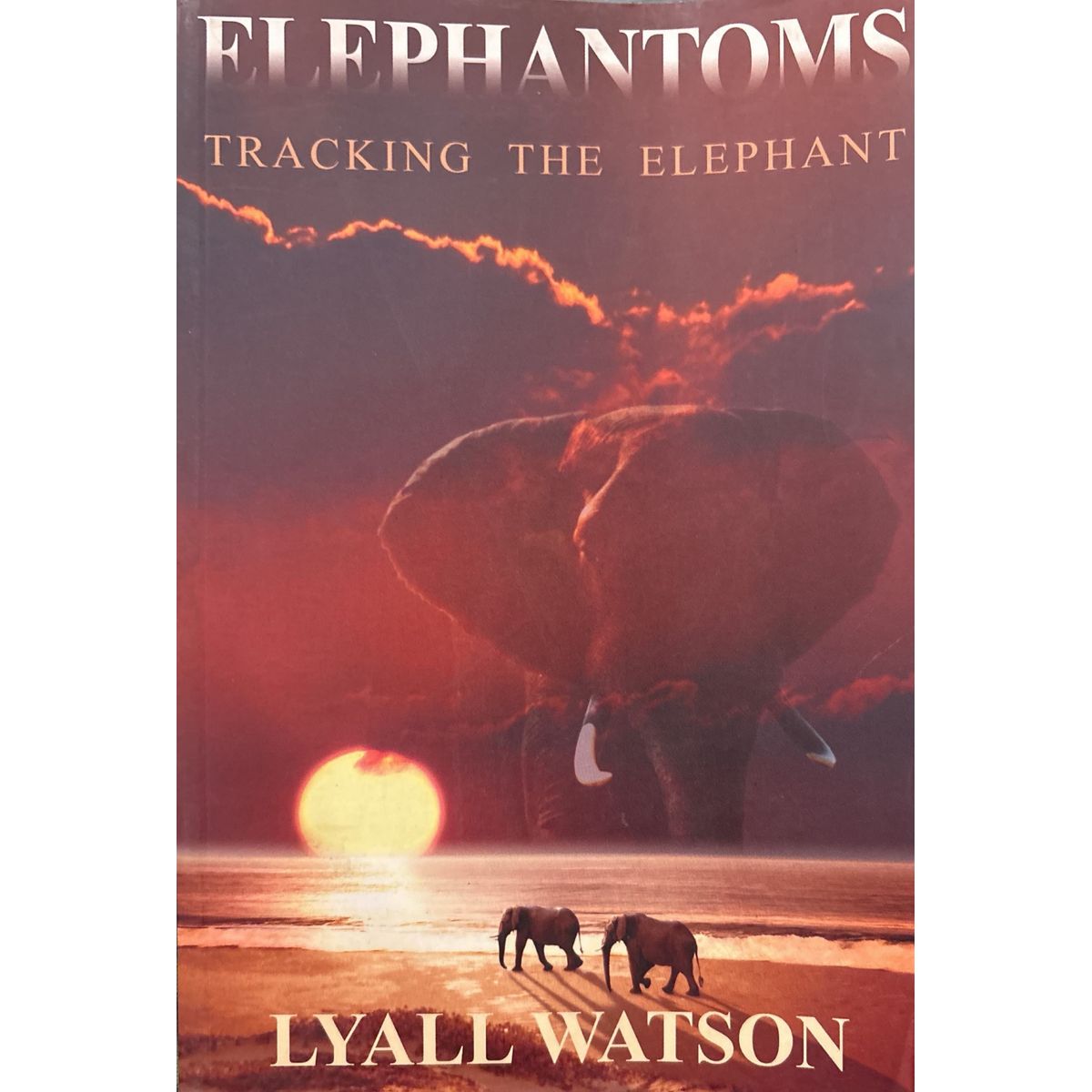 ISBN: 9780670047895 / 0670047899 - Elephantoms: Tracking the Elephant by Lyall Watson [2003]
