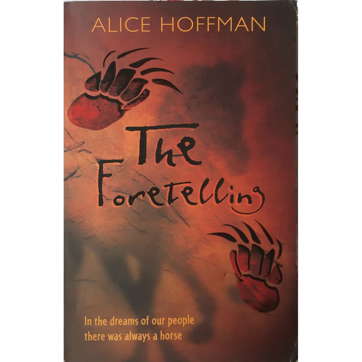ISBN: 9781405224246 / 140522424X - The Foretelling by Alice Hoffman [2006]