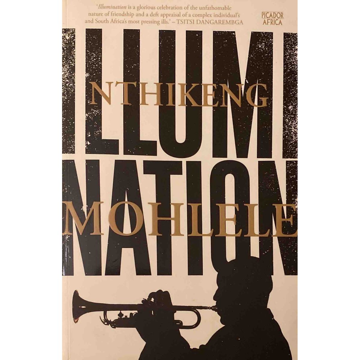 ISBN: 9781770106253 / 1770106251 - Illumination by Nthikeng Mohlele [2019]