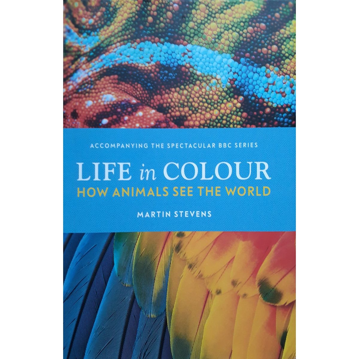 ISBN: 9781785946370 / 1785946374 - Life in Colour by Martin Stevens [2021]