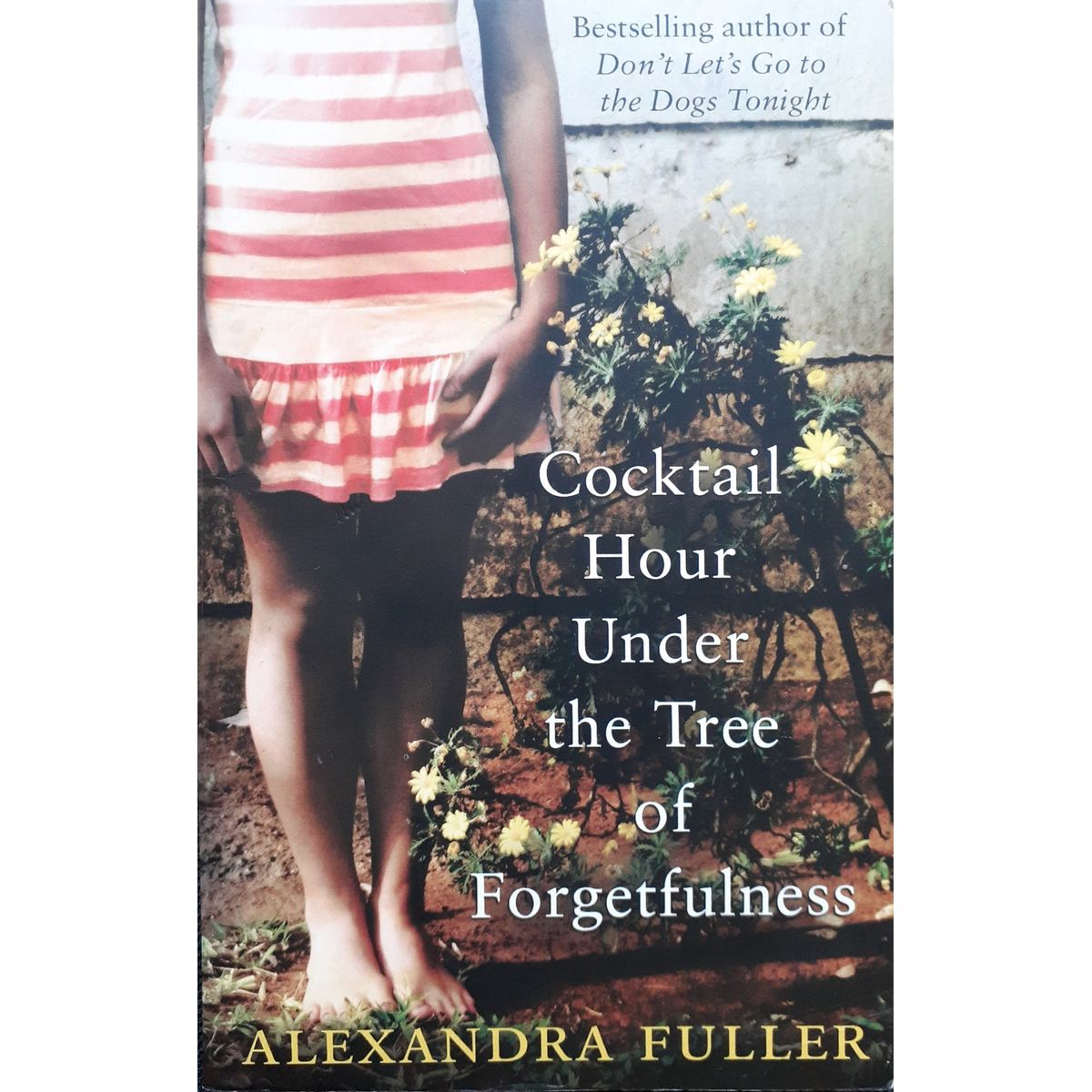 ISBN: 9781849838986 / 1849838984 - Cocktail Hour Under the Tree of Forgetfulness by Alexandra Fuller [2012]