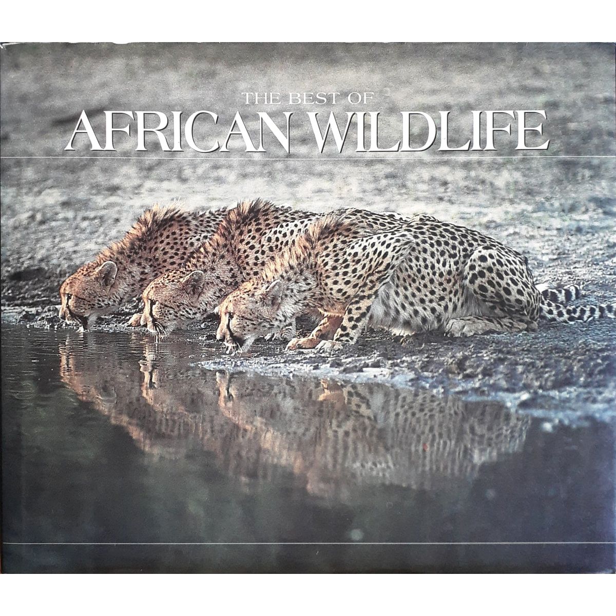 ISBN: 9781868254507 / 186825450X - The Best of African Wildlife by Joanne Simpson et.al. [1995]