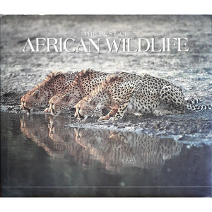 ISBN: 9781868254507 / 186825450X - The Best of African Wildlife by Joanne Simpson et.al. [1995]