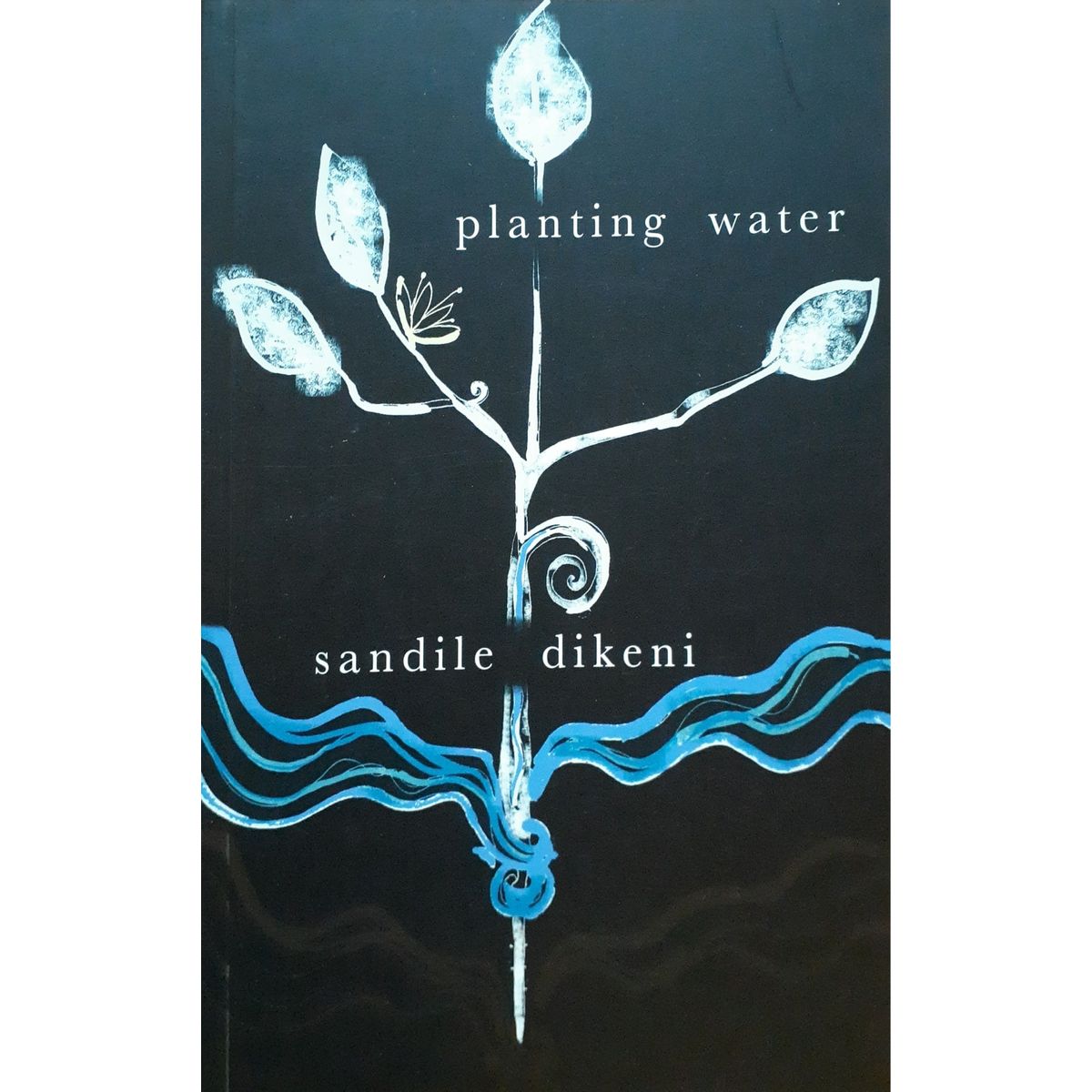 ISBN: 9781869141226 / 1869141229 - Planting Water by Sandile Dikeni [2007]