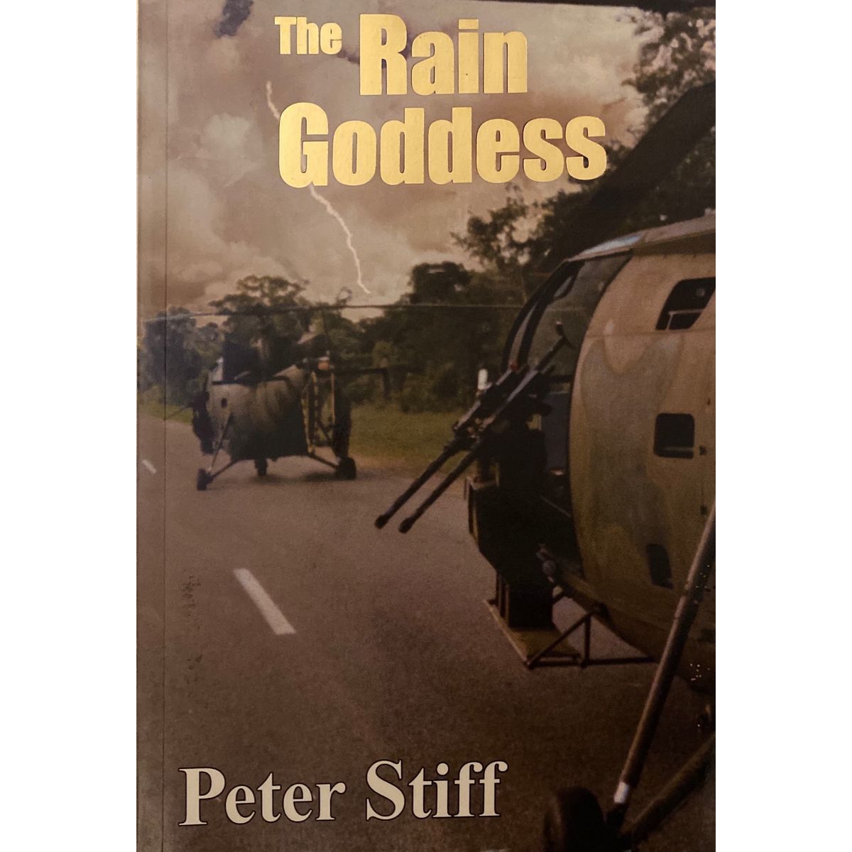ISBN: 9781919854069 / 1919854061 - The Rain Goddess by Peter Stiff [2004]