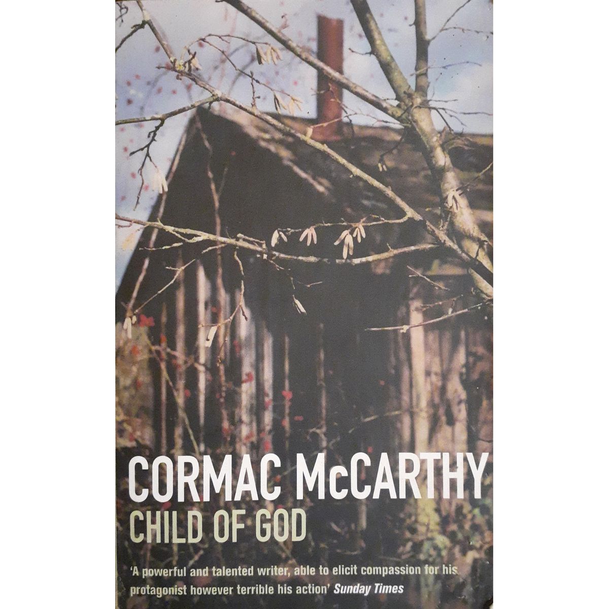 ISBN: 9780330306430 / 033030643X - Child of God by Cormac McCarthy [1989]