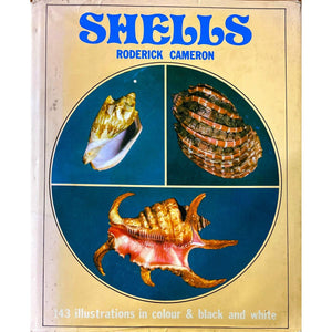 ISBN: 9780706400328 / 0706400321 - Shells by Roderick Cameron [1972]