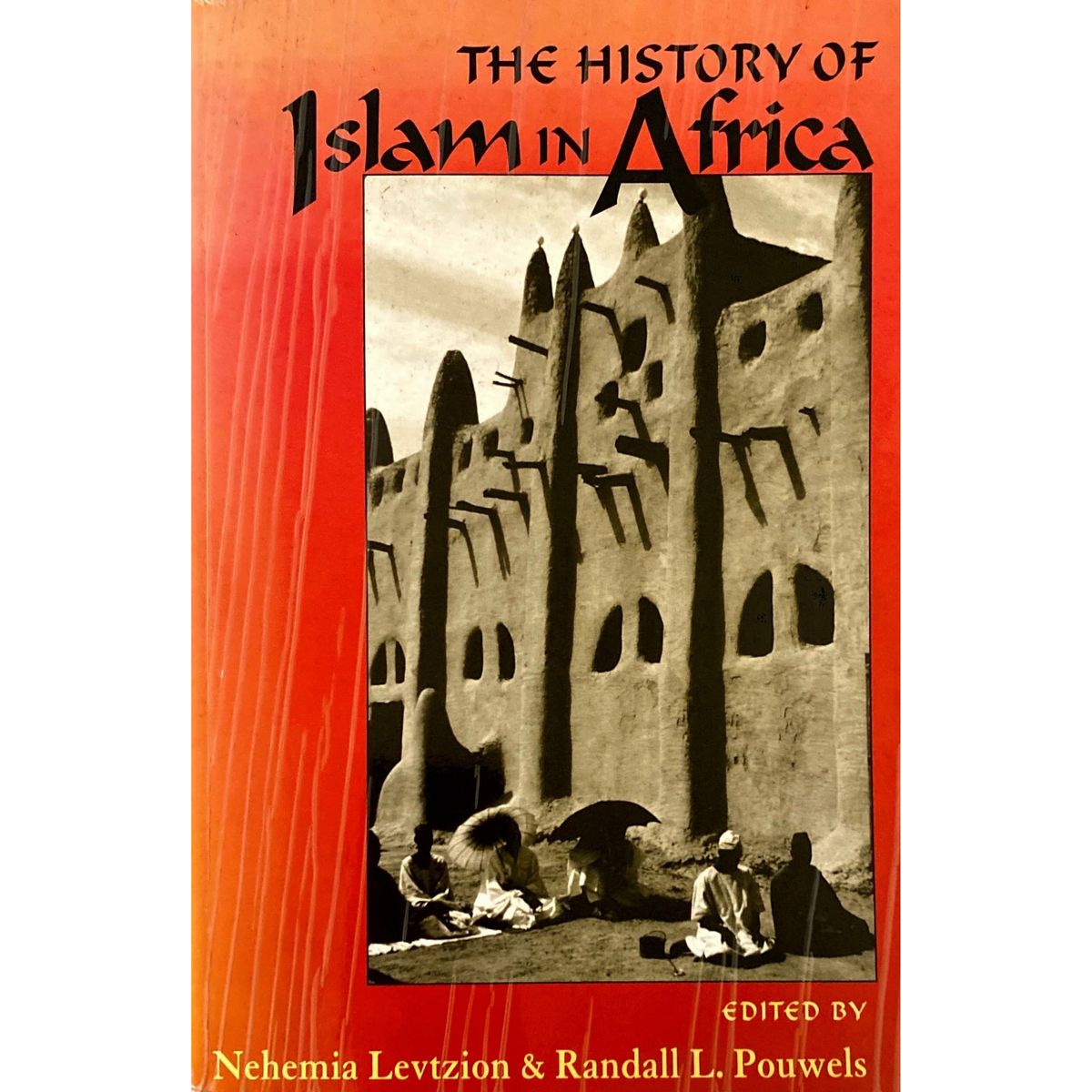 ISBN: 9780864864543 / 086486454X - The History of Islam in Africa by N. Levtzion and R.L. Pouwels [2000]