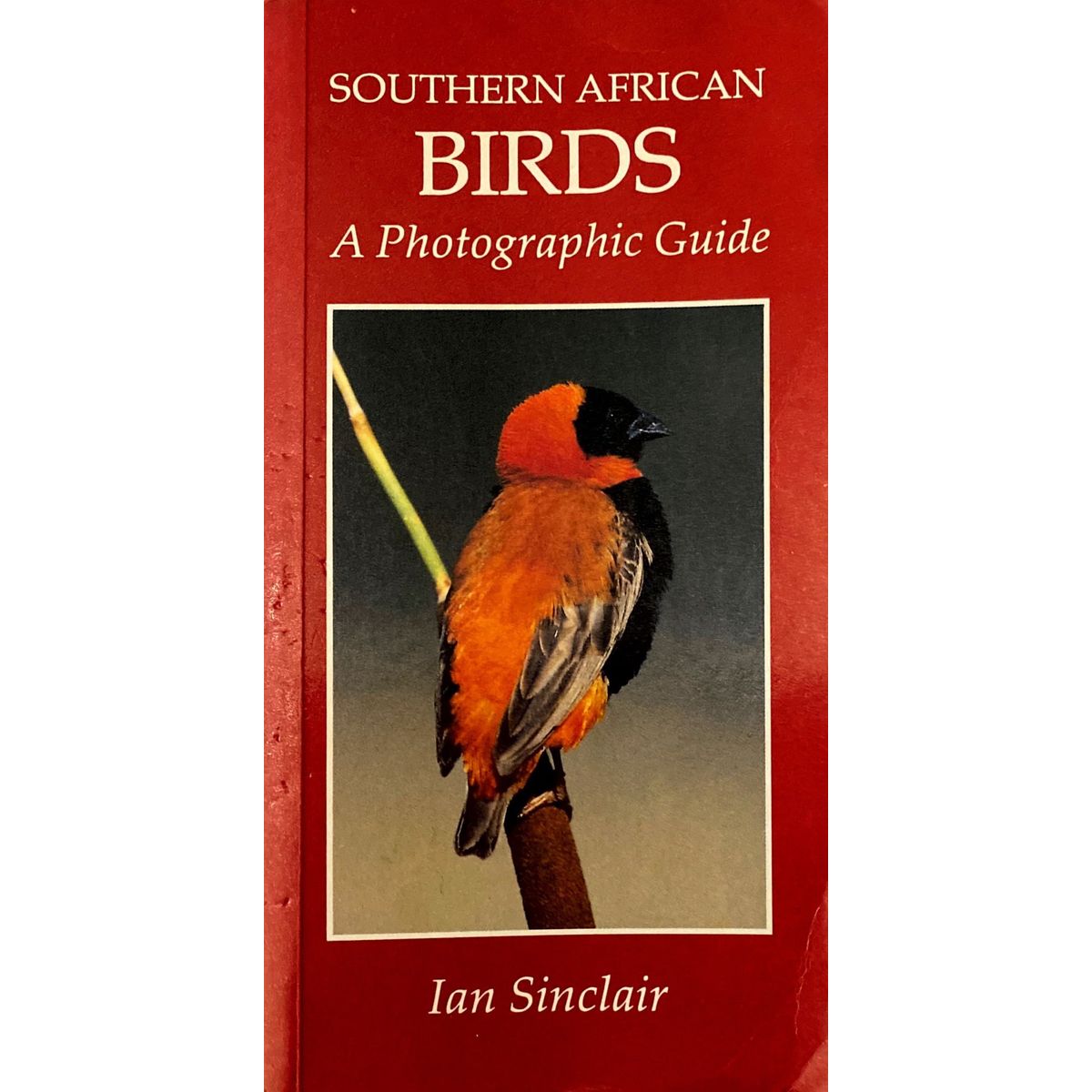 ISBN: 9780869777947 / 0869777947 - Southern African Birds: A Photographic Guide by Ian Sinclair [1993]