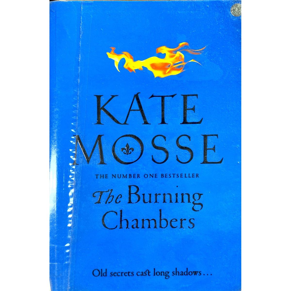 ISBN: 9781509806843 / 1509806849 - The Burning Chambers by Kate Mosse [2018]