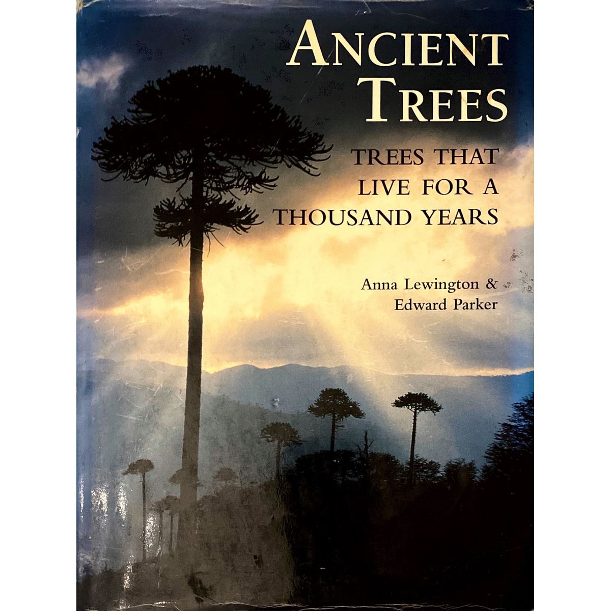 ISBN: 9781855857049 / 1855857049 - Ancient Trees: Trees That Live for a Thousand Years by Anna Lewington and Edward Parker [1999]